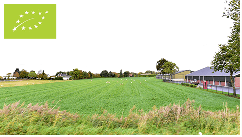 seafood_wholesaler_retrailer_2