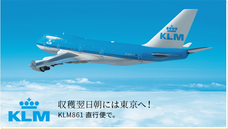 seafood_wholesaler_retrailer_4