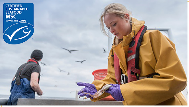 seafood_wholesaler_retrailer_1